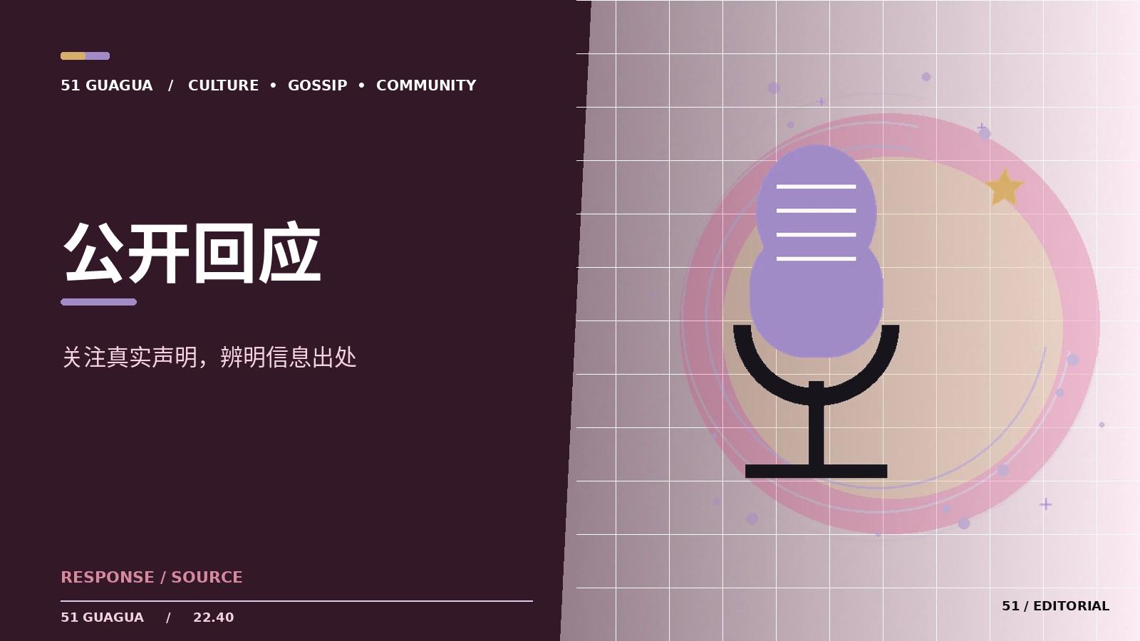 如何正确引用公开声明
